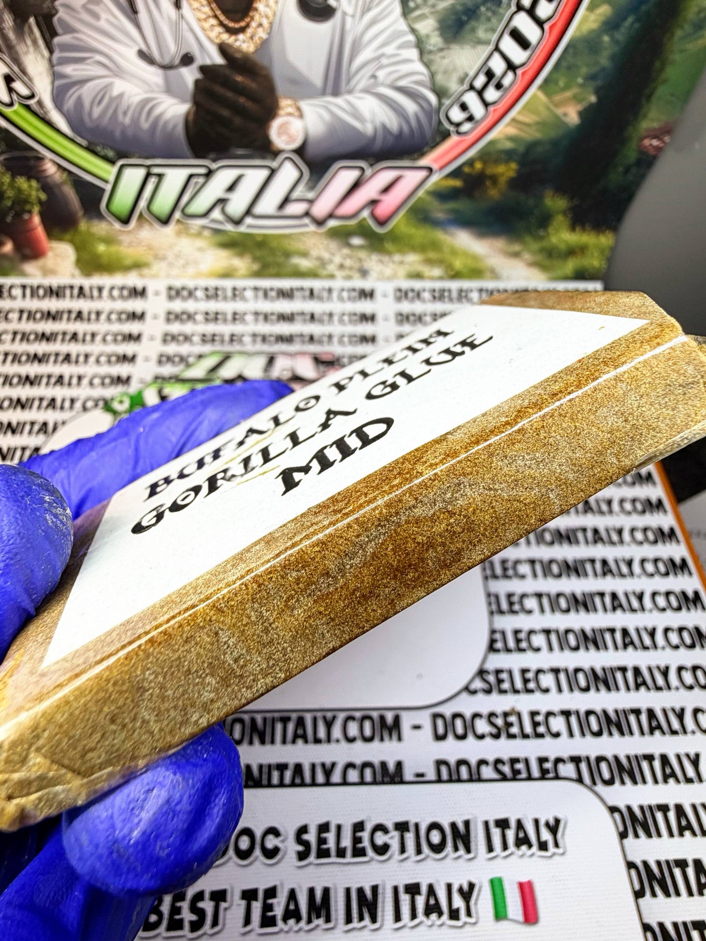 GORILLA GLUE - Frozen mid NEW 2026 Bufalo Plein