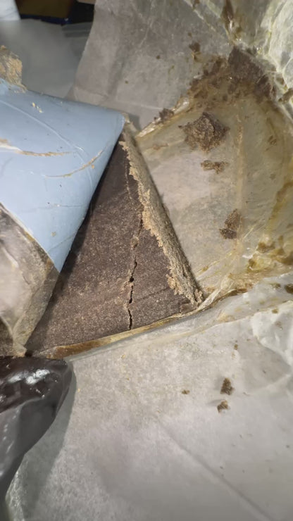 𝘽𝙪𝙗𝙗𝙡𝙚 𝙃𝙖𝙨𝙝 𝙐𝙎𝘼 𝘽𝙪𝙛𝙖𝙡𝙤 𝙋𝙡𝙚𝙞𝙣 - 𝙏𝙍𝙊𝙋𝙄𝘾𝘼𝙉𝘼 𝙊𝙂